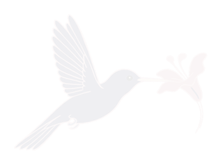 bird-watermark-spires-290
