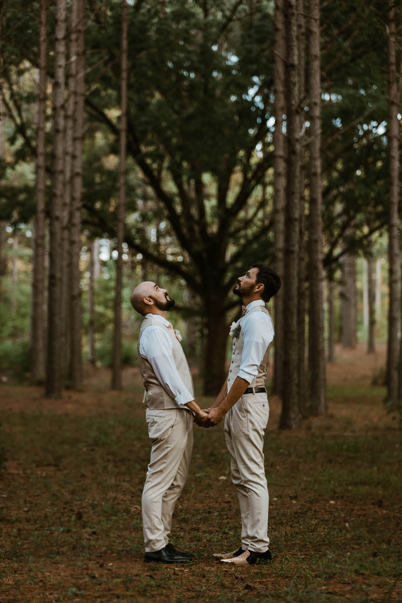 Two grooms holding hands in a tall pine wood
