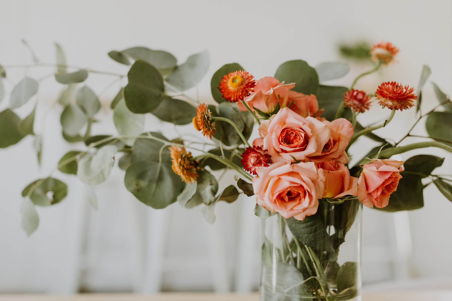 Peach roses and eucalyptus in a clear glass jar against a pale wall